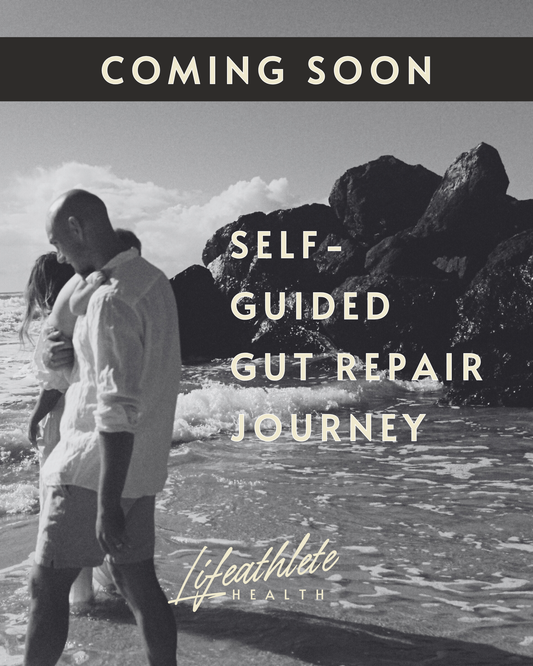 Self-Guided Gut Repair Journey